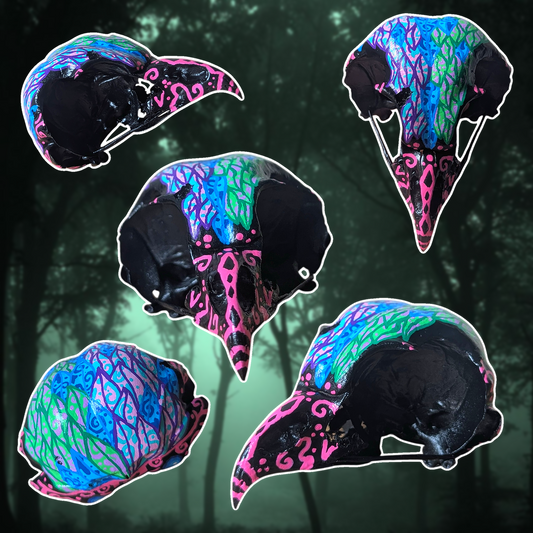 Crâne Plumes Psyché